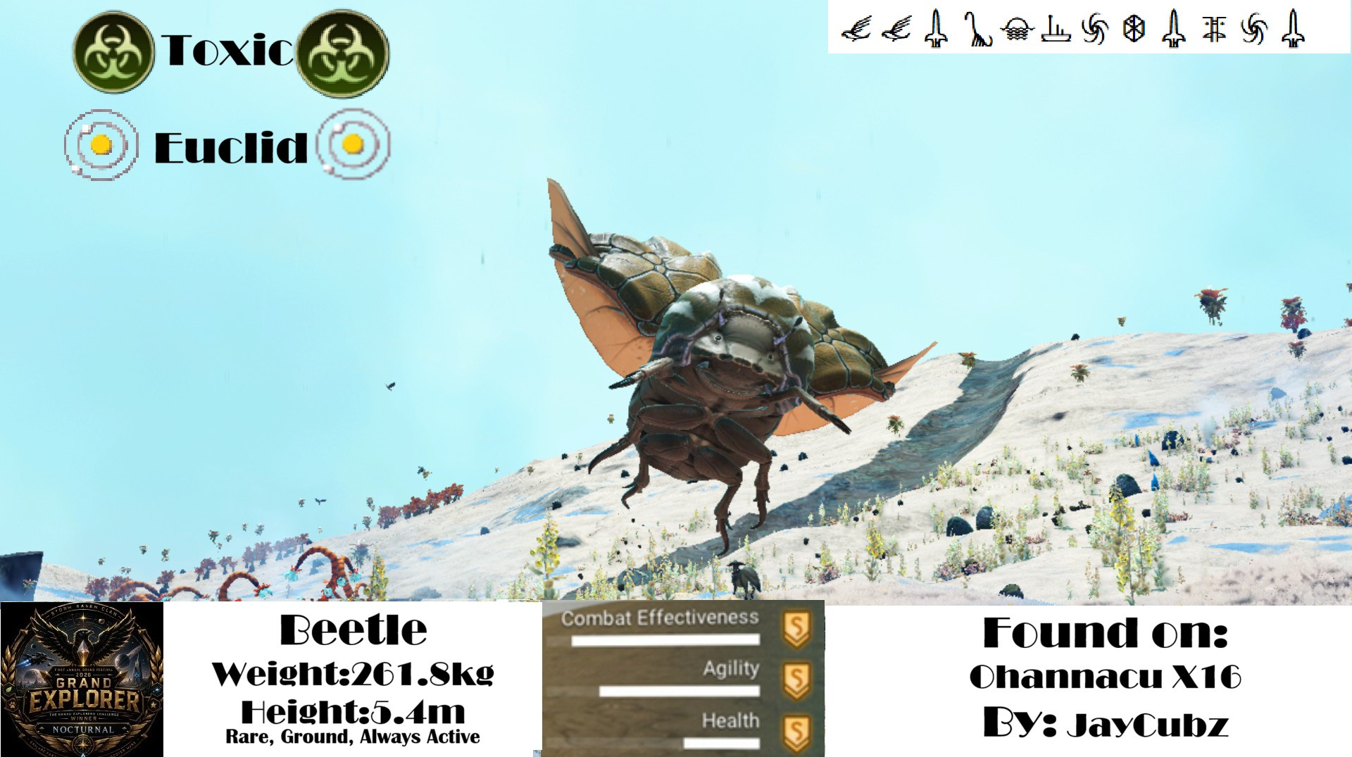 Beetle