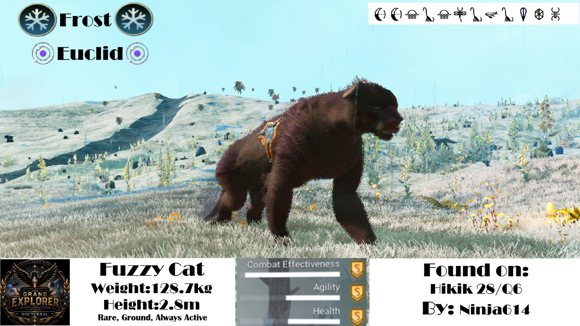 Fuzzy Cat