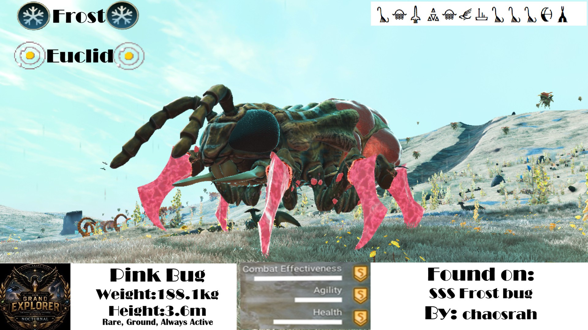 Pink Bug