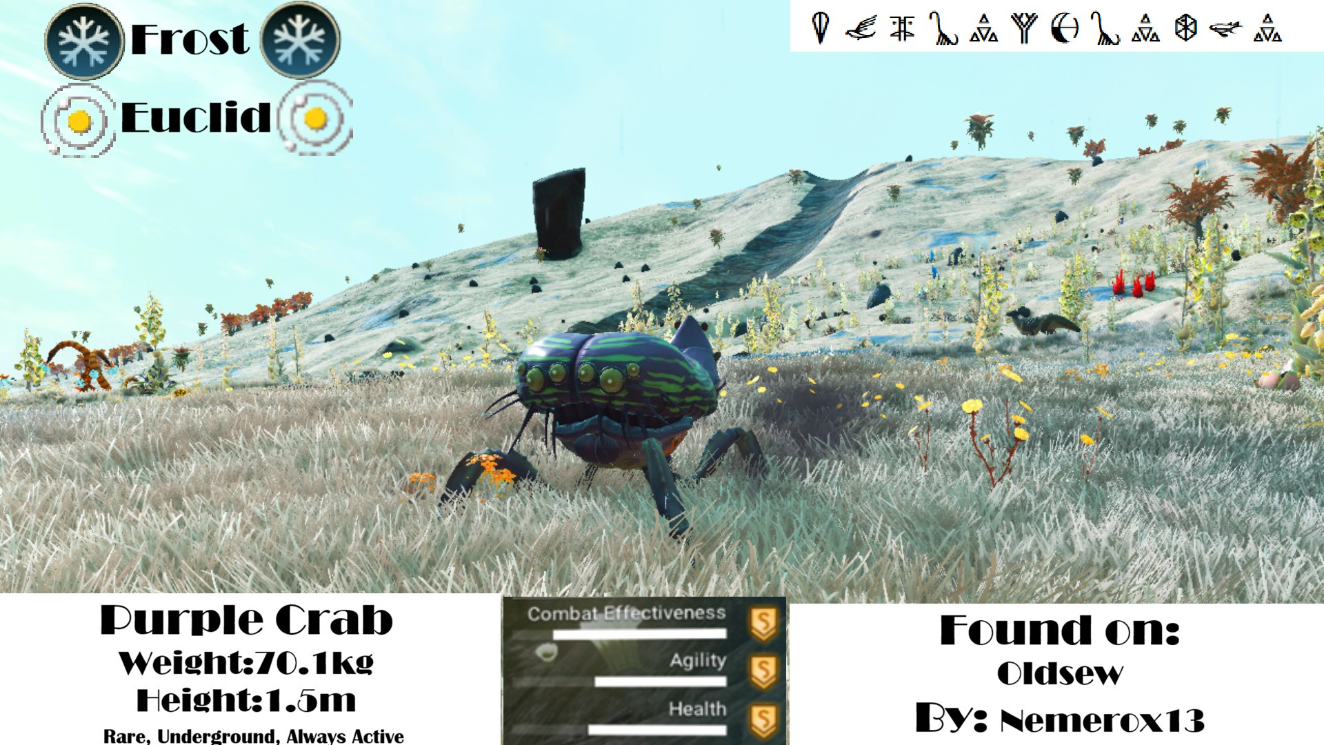 Purple Crab