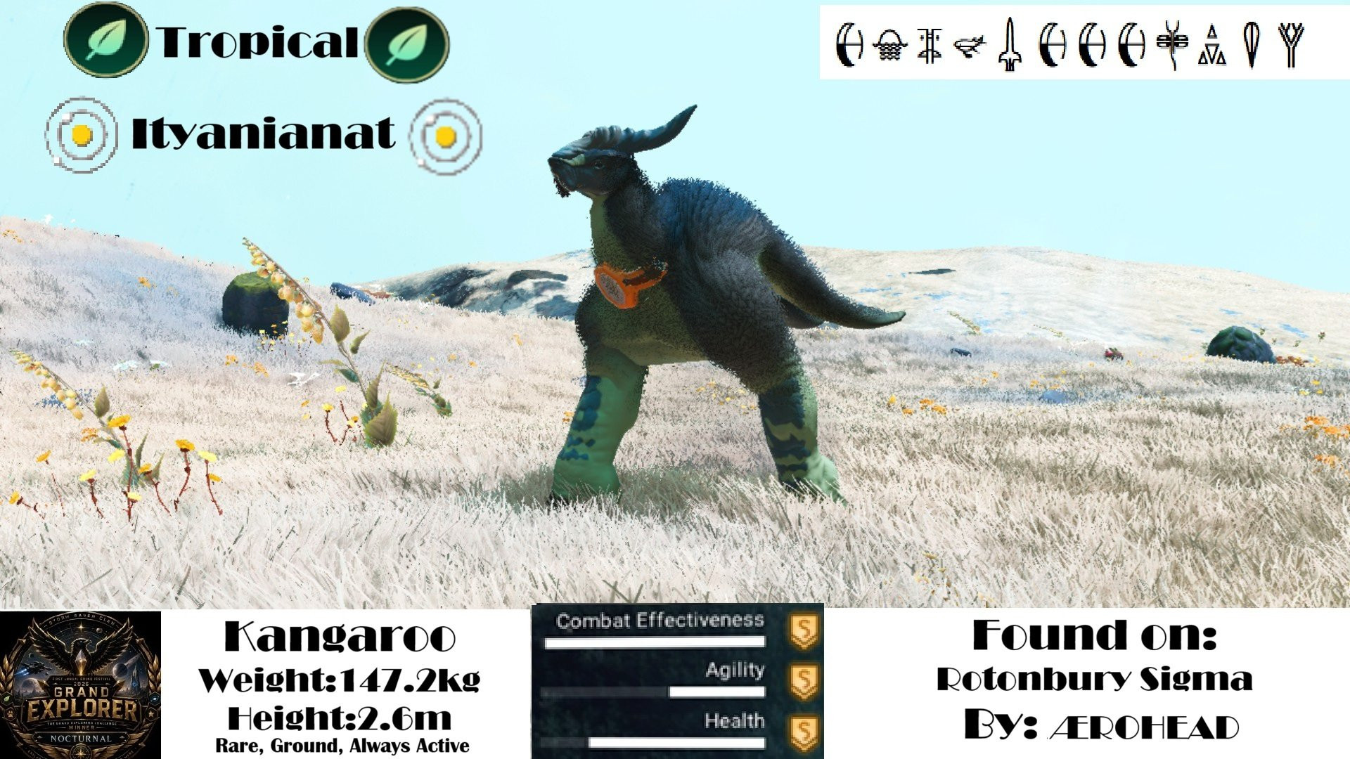 Kangaroo