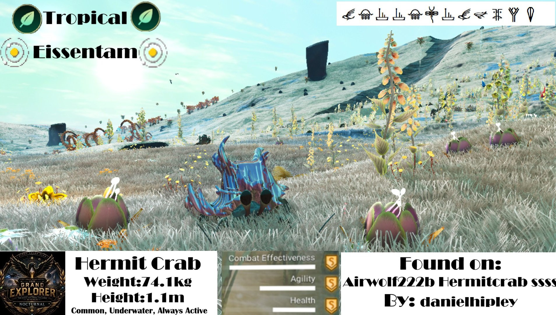 Hermit Crab