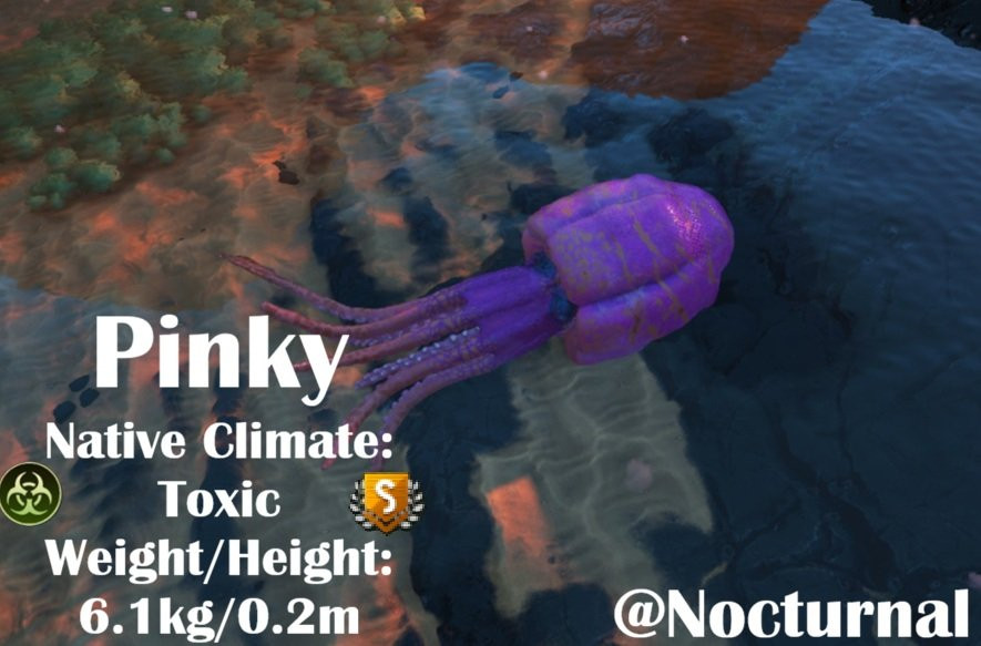 Pinky