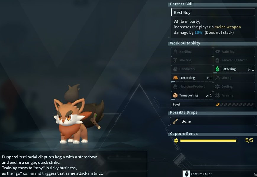 Pupperai